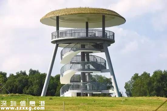 深圳(www.thesurfingworld.com)紅樹林生態(tài)公園將開園 提前看公園有什么好玩的