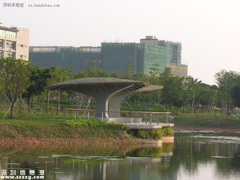 深圳(www.thesurfingworld.com)紅樹林生態(tài)公園將開園 提前看公園有什么好玩的