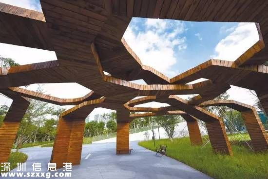 深圳(www.thesurfingworld.com)紅樹林生態(tài)公園將開園 提前看公園有什么好玩的