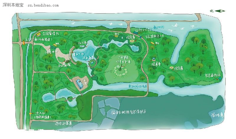 深圳(www.thesurfingworld.com)紅樹林生態(tài)公園將開園 提前看公園有什么好玩的