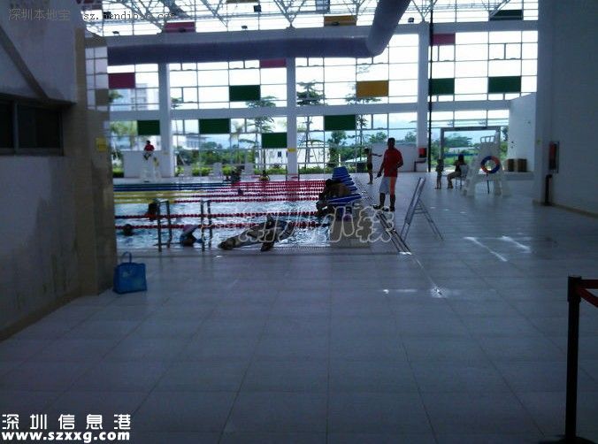 深圳(www.thesurfingworld.com)坪山游泳館免費開放1個月 在哪如何去？