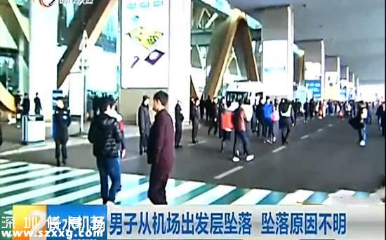 男子航站樓墜落