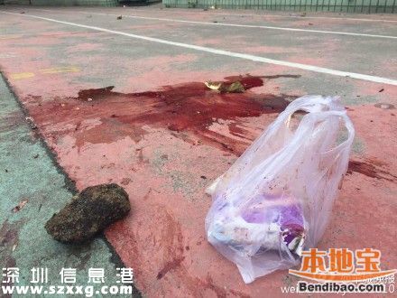 廣州小學(xué)生被校車壓死 疑在校車下?lián)鞏|西