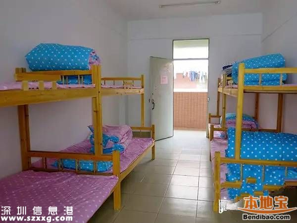 接父母來<a href=http://www.thesurfingworld.com/shenzhen/ target=_blank class=infotextkey>深圳</a>過年 大浪好驛站提供免費住宿