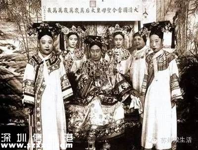 避屬羊致出生減少 為什么說屬羊的命不好？