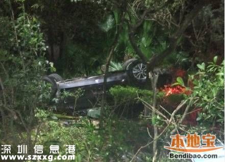 小車沖進(jìn)樹叢四腳朝天 車內(nèi)人員制止路人拍照