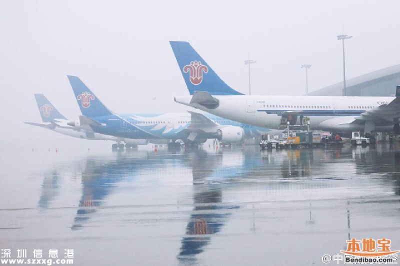 雷雨導致飛機延誤 打這些電話及時掌握航班動向