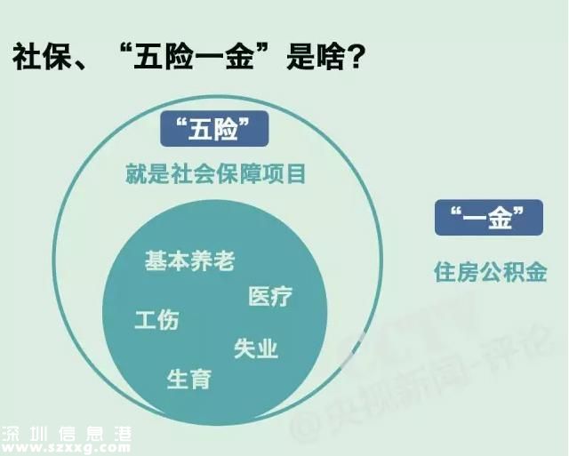 社保繳費要降了  社保待遇會不會跟著降？