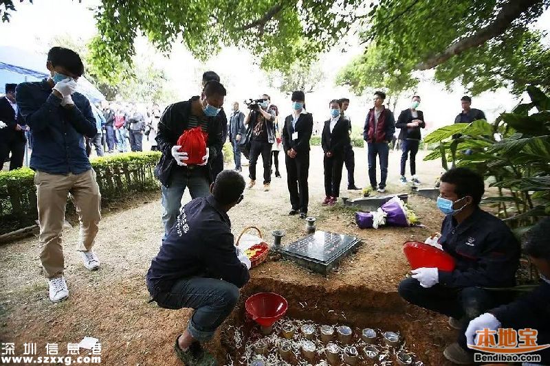 深圳172位逝者海葬或樹葬 獎(jiǎng)勵(lì)辦法正在商討
