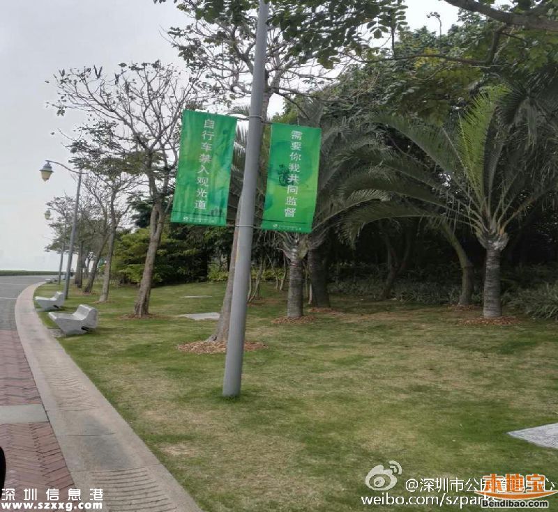 深圳灣公園人車(chē)混行怎么治？或增建7座橋