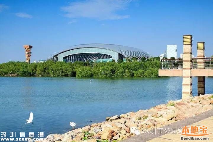 深圳灣公園人車(chē)混行怎么治？或增建7座橋