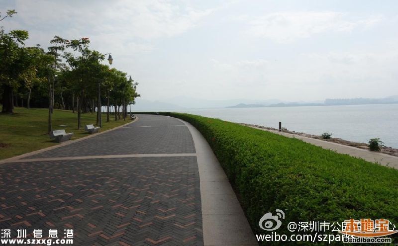 深圳灣公園人車(chē)混行怎么治？或增建7座橋