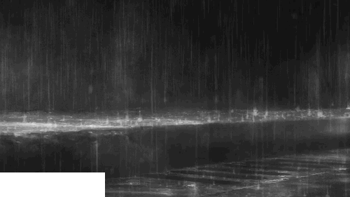 深圳開啟雨天模式 接下來10天都有雨