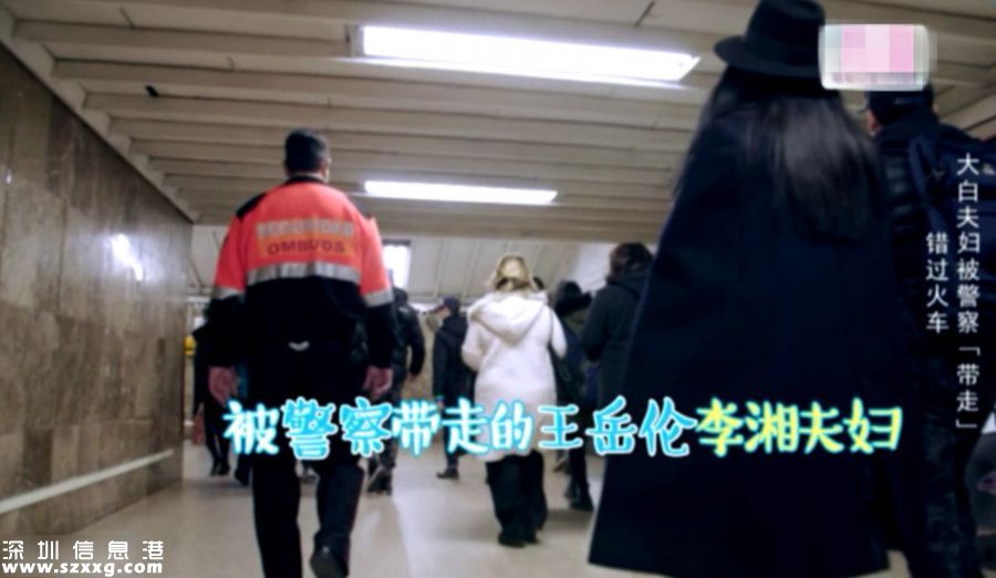 李湘被警察帶走 語(yǔ)言不通當(dāng)場(chǎng)就懵圈網(wǎng)友稱真不容易