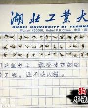 60只蚊子寫作文