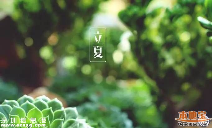 立夏如何養(yǎng)生 立夏養(yǎng)生從哪些方面？