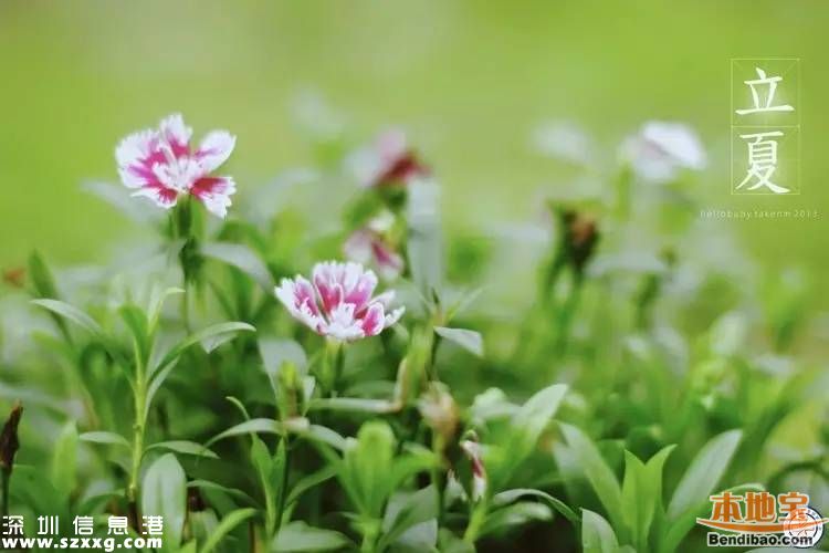 立夏如何養(yǎng)生 立夏養(yǎng)生從哪些方面？