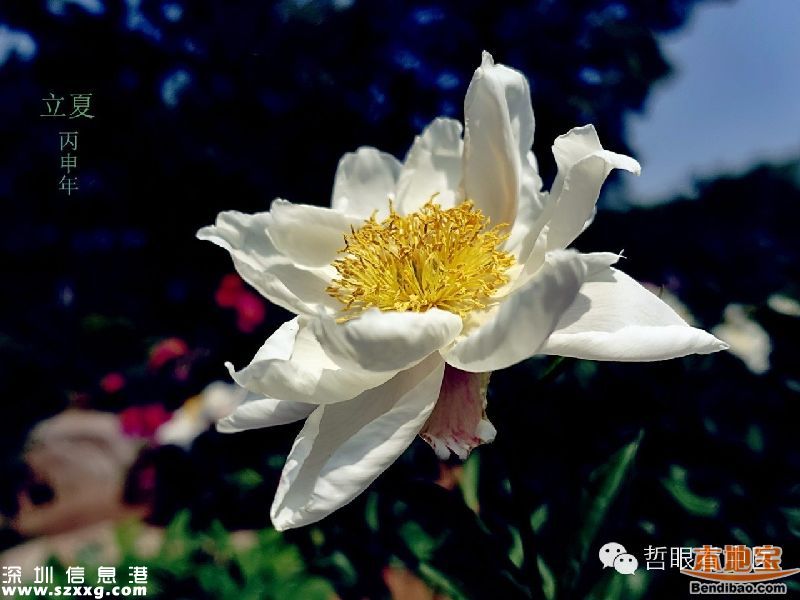 立夏如何養(yǎng)生 立夏養(yǎng)生從哪些方面？