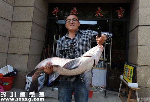 為戒賭釣到螺螄青