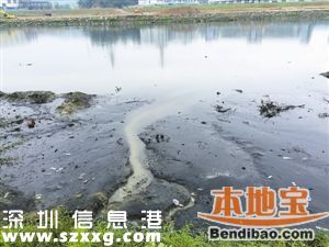 深圳8條河流水質(zhì)污染加重 飲用水源水質(zhì)100%達(dá)標(biāo)