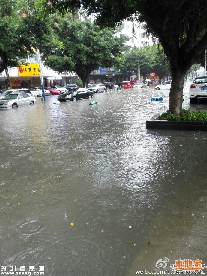 深圳降雨還將持續(xù)3小時(shí) 多路段被淹(圖)