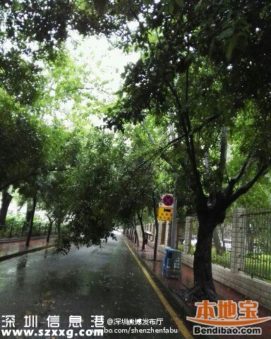 <a href=http://www.thesurfingworld.com/shenzhen/ target=_blank class=infotextkey>深圳</a>降雨還將持續(xù)3小時 多路段被淹(圖)