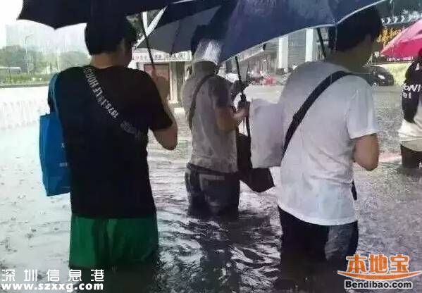 深圳龍舟水預(yù)計在5月中下旬 什么是龍舟水？