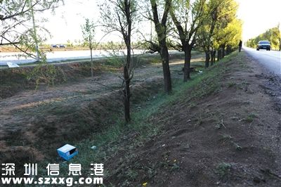 山西朔州市毛皂村，一名綁匪被擊斃在這棵小樹旁。