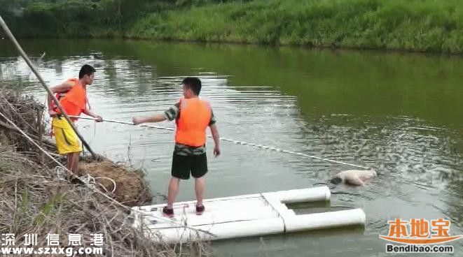 石巖釣魚場旁池塘驚現(xiàn)浮尸 上身半裸胳膊有淤青
