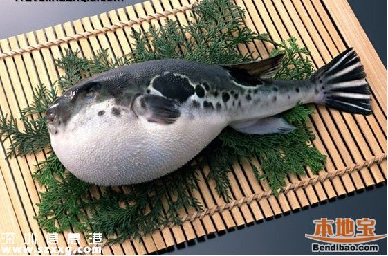 <a href=http://www.thesurfingworld.com/shenzhen/ target=_blank class=infotextkey>深圳</a>一人食用河豚中毒身亡 什么樣的河豚是安全的？