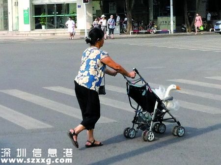 推嬰兒車被暴打