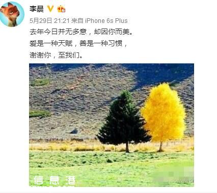 圖片默認標題