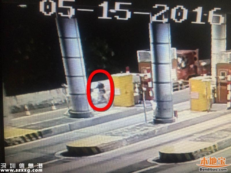6旬老人騎電動(dòng)車上高速被撞飛身亡 負(fù)主要責(zé)任