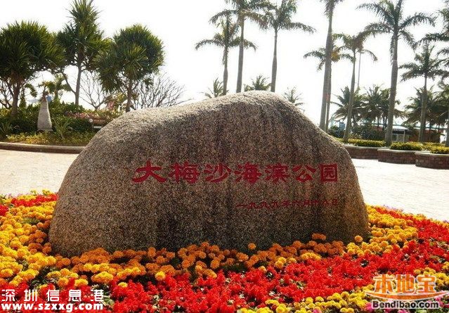端午大梅沙限時(shí)限量 注意開放時(shí)間和天氣情況