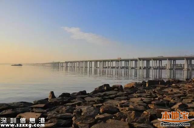 深圳地鐵11號線換乘站帥出新高度 還藏一座展覽館