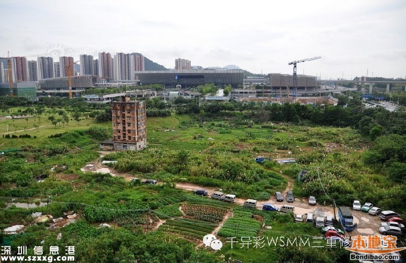 深圳最牛釘子戶是誰？為何拒2000萬補償？