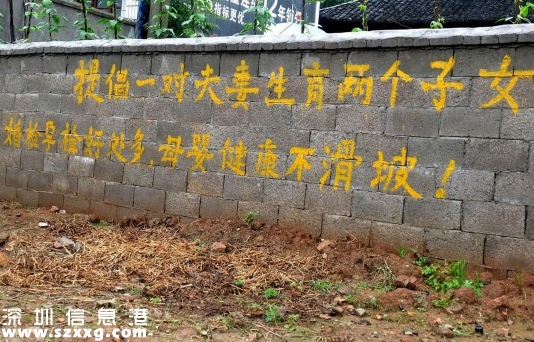 二胎手寫標(biāo)語走紅 網(wǎng)友調(diào)侃：有點(diǎn)意思（組圖）