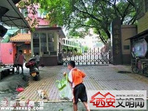 小學現(xiàn)惡臭籃球場 教育局回應稱施工單位說產(chǎn)品沒問題