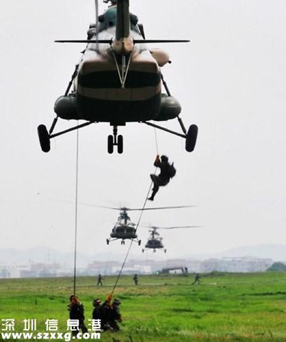 資料圖：解放軍各型直升機(jī)空中集結(jié)