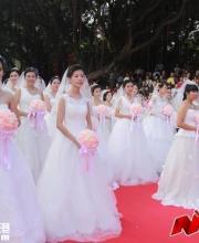 2016南山集體婚禮開始報名 收費標(biāo)準(zhǔn)僅999元