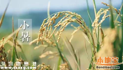 小暑養(yǎng)生過5關(guān) 從最簡單的事情做起