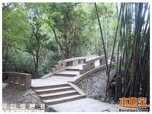 仙湖植物園門票能不能取消？