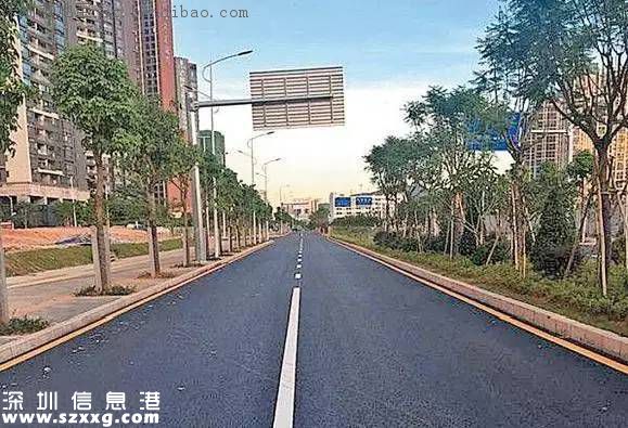 龍華交通治理組合拳 居民出行更方便啦！