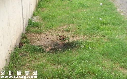 高壓線下釣魚被電 傷情嚴重尚能說話：命真大