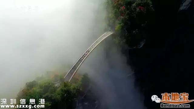 神農(nóng)架申遺成功 中國(guó)有哪些世界遺產(chǎn)項(xiàng)目？