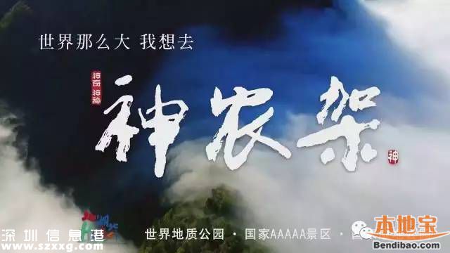 神農(nóng)架申遺成功 中國(guó)有哪些世界遺產(chǎn)項(xiàng)目？