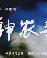 神農(nóng)架申遺成功 中國(guó)有哪些世界遺產(chǎn)項(xiàng)目？