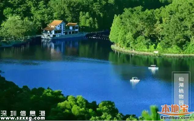仙湖植物園門票下調(diào)至15元 免費時段不變