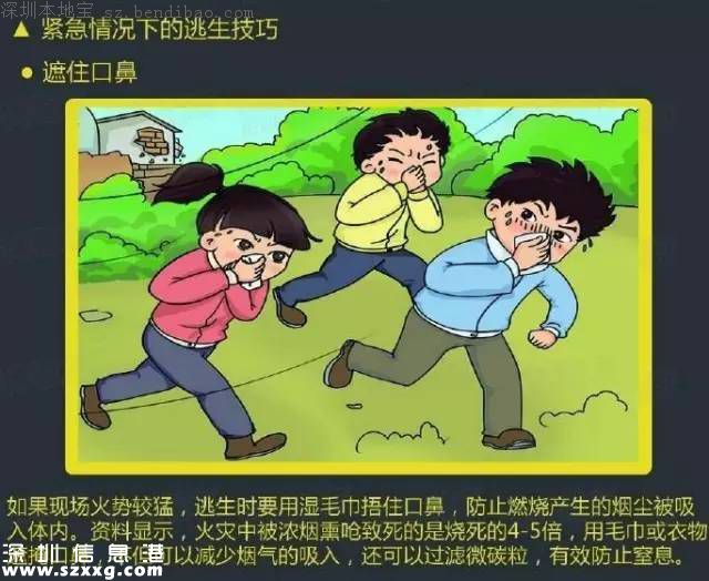 深圳這種公交存在隱患 你坐過(guò)嗎？