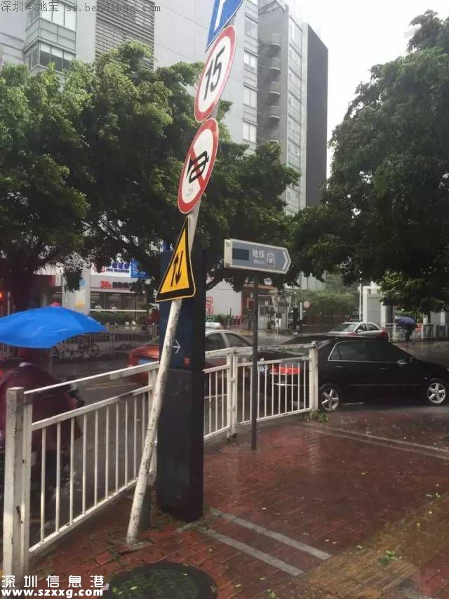 妮妲臺風給深圳留下了什么？1313棵樹被摧毀